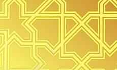 Paslanmaz Desenli Saclar