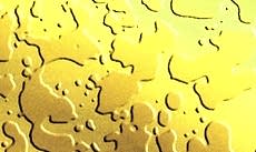 Paslanmaz Desenli Saclar